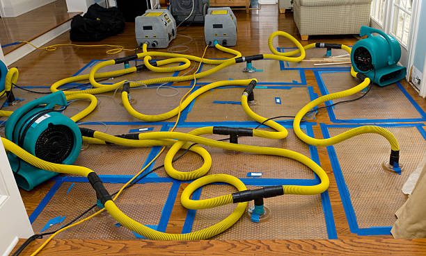 Professional Flood Damage Restoration technician working in Gambier, OH